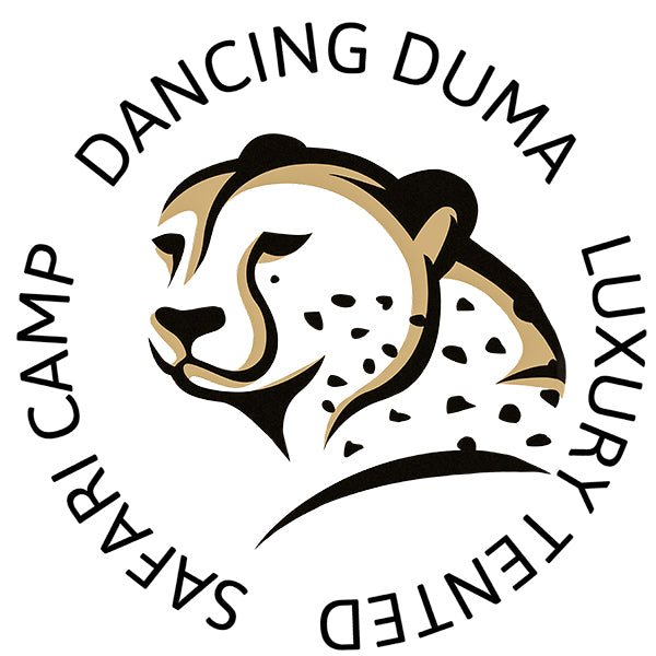 Dancing Duma Store