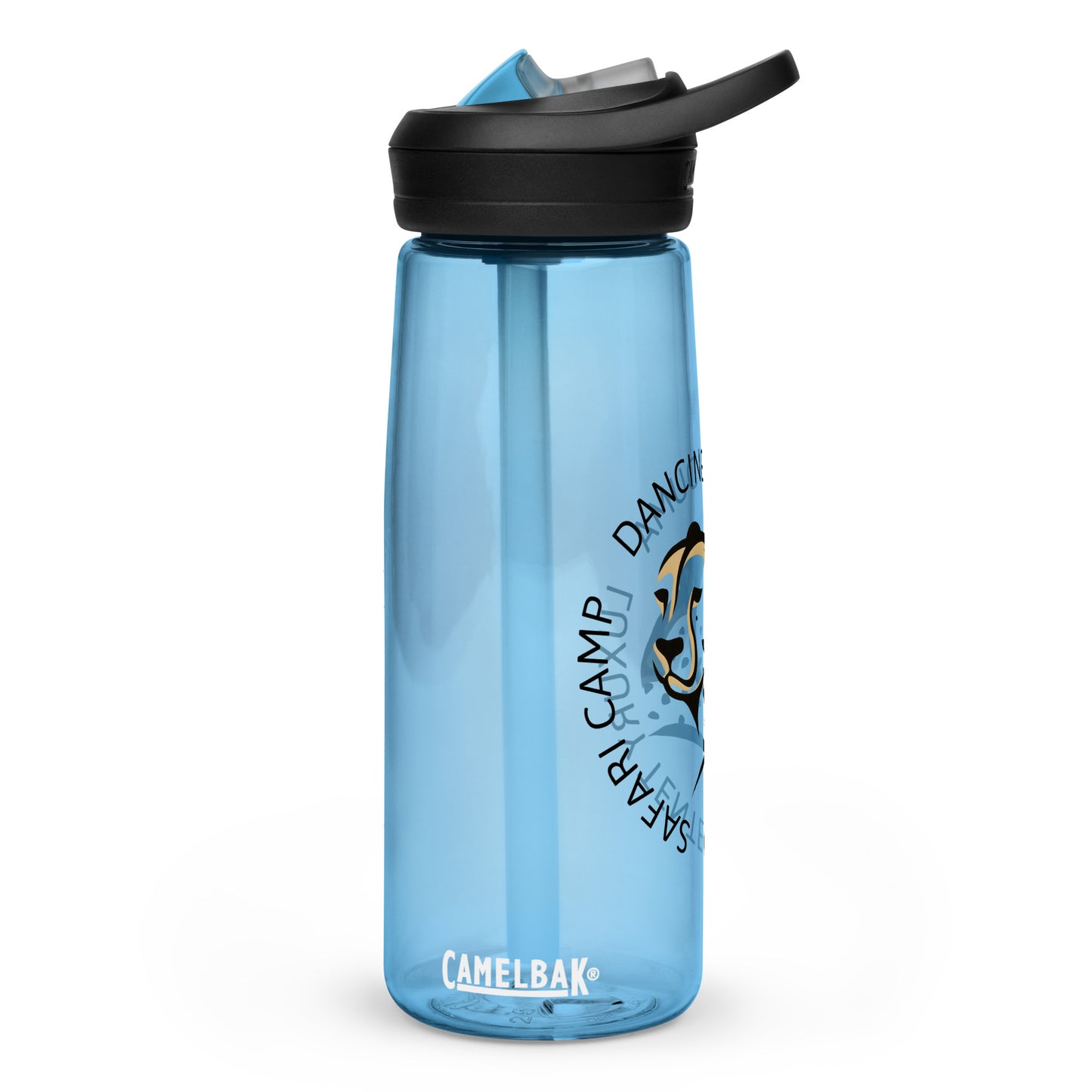 Sports water bottle