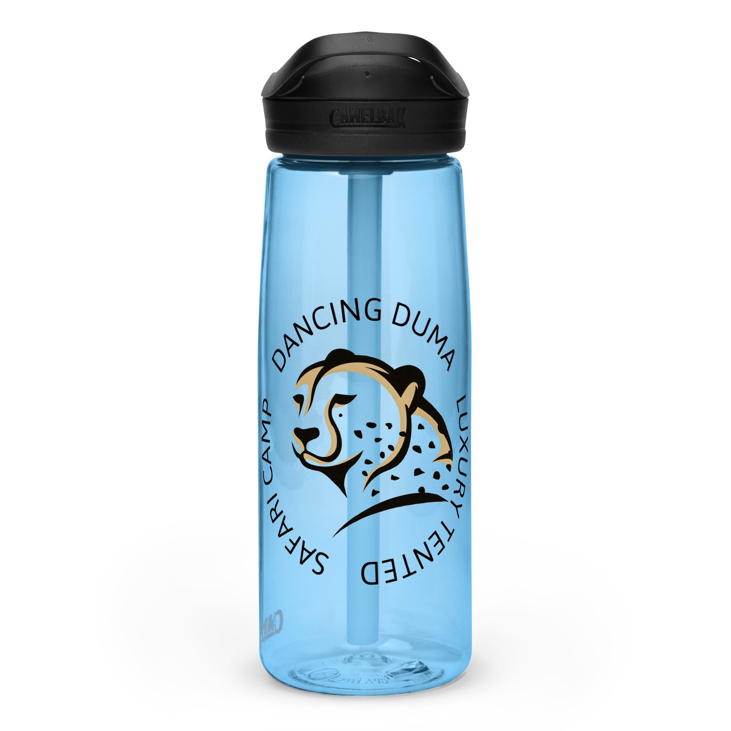 Sports water bottle