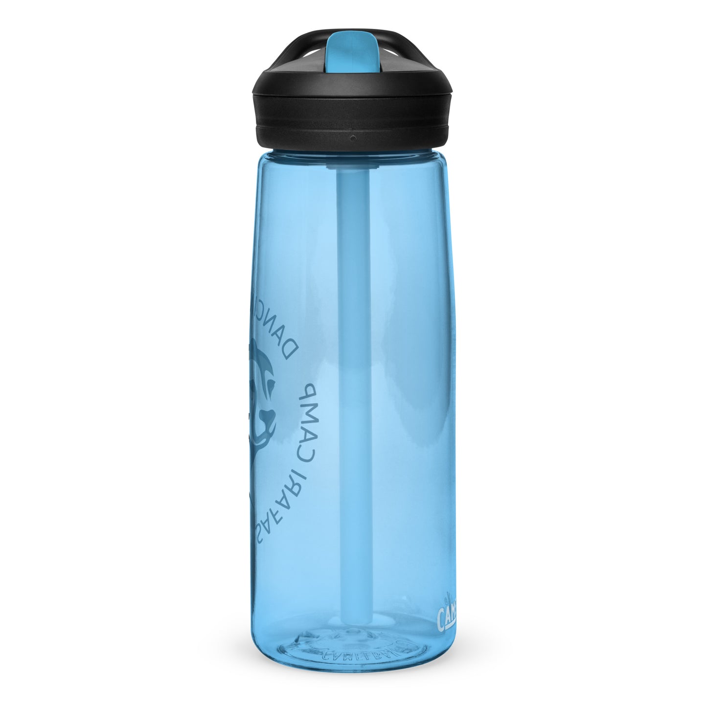 Sports water bottle