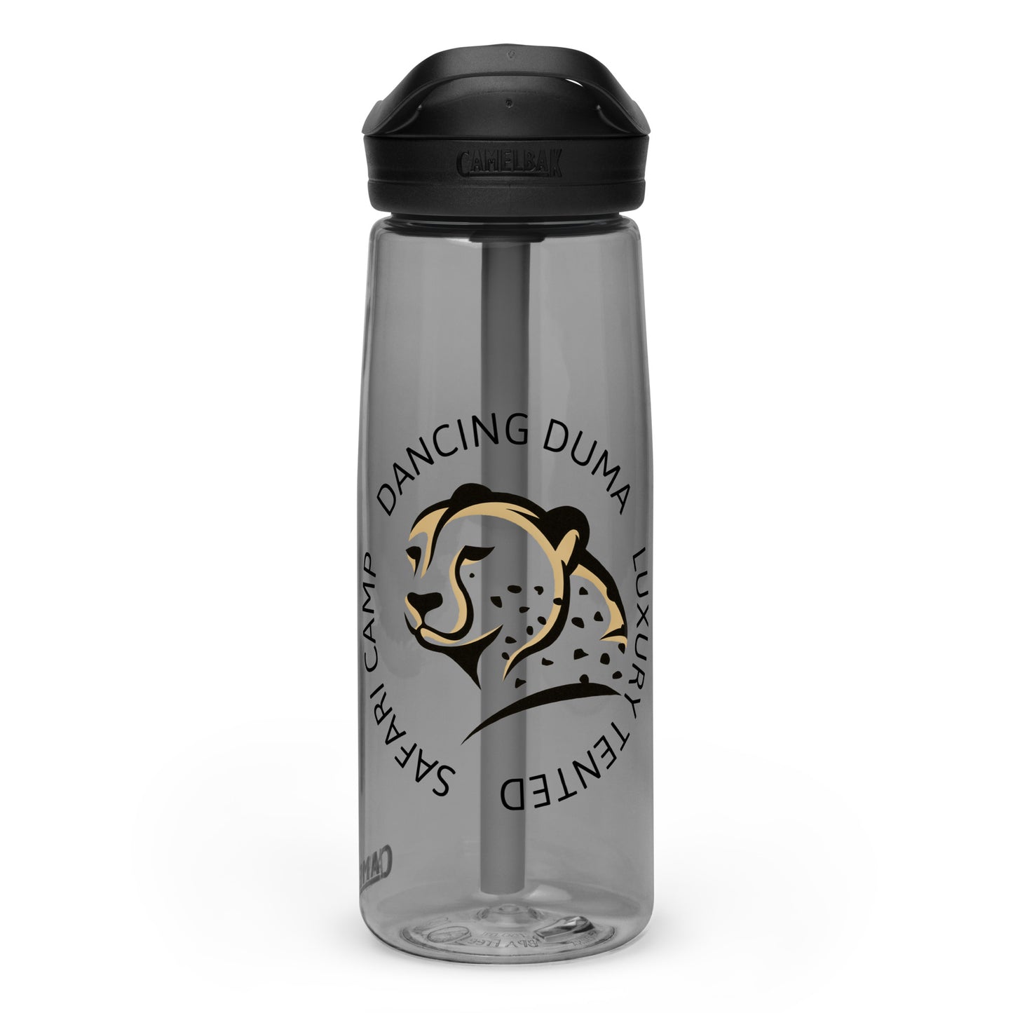 Sports water bottle