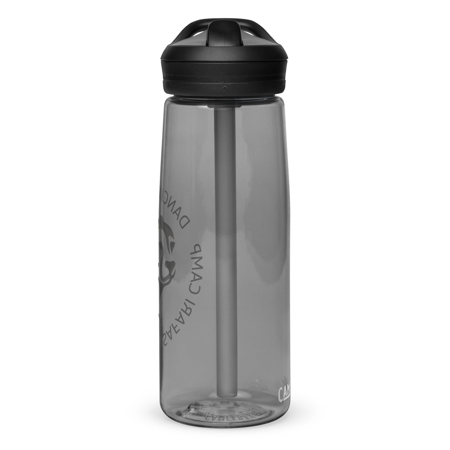 Sports water bottle