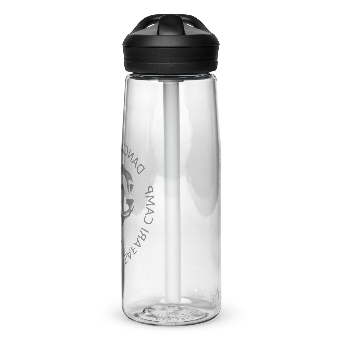 Sports water bottle