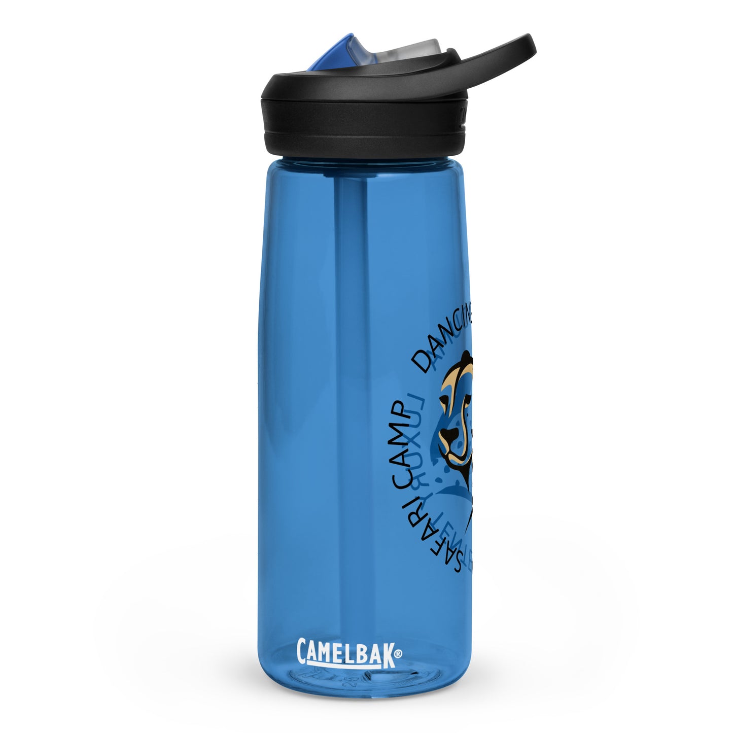 Sports water bottle