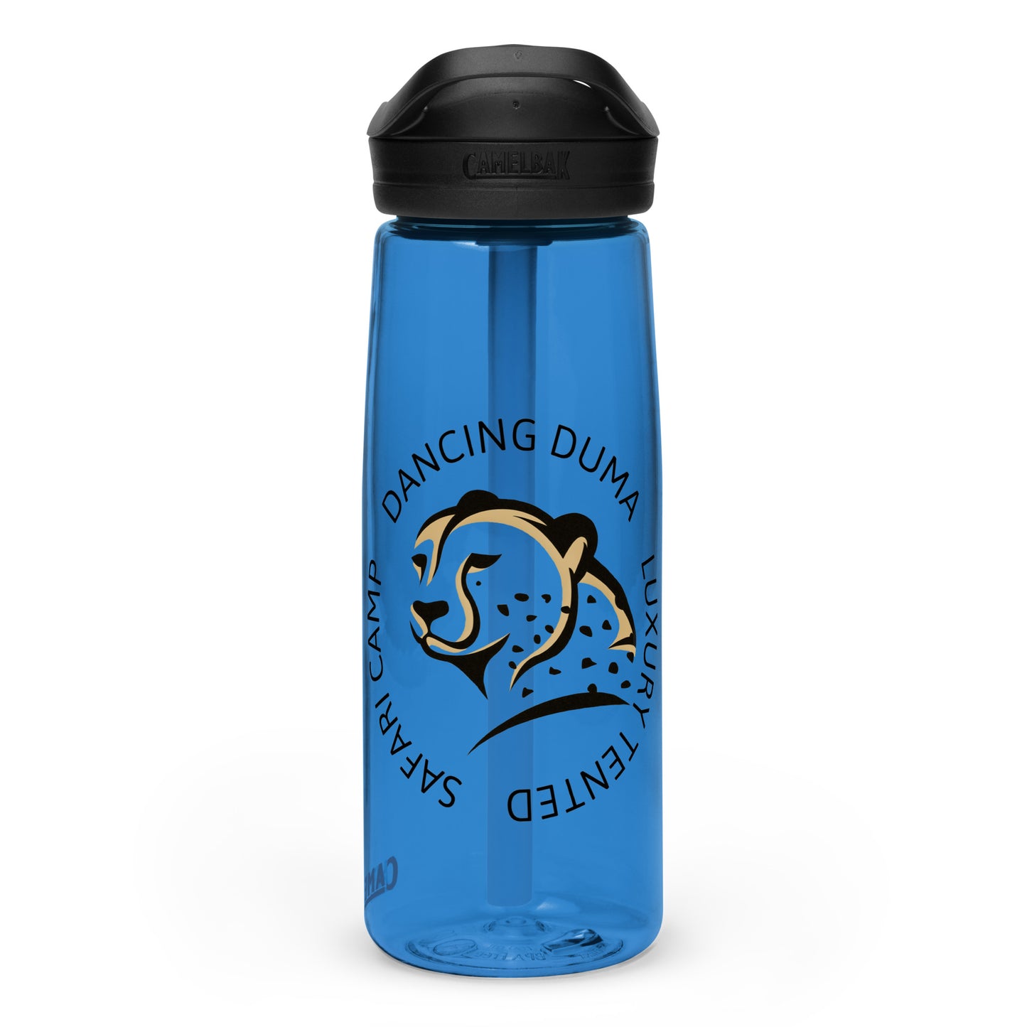 Sports water bottle